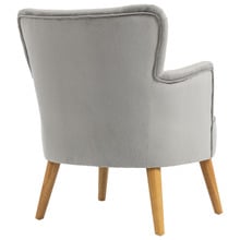 Caspian Velvet Accent Chair